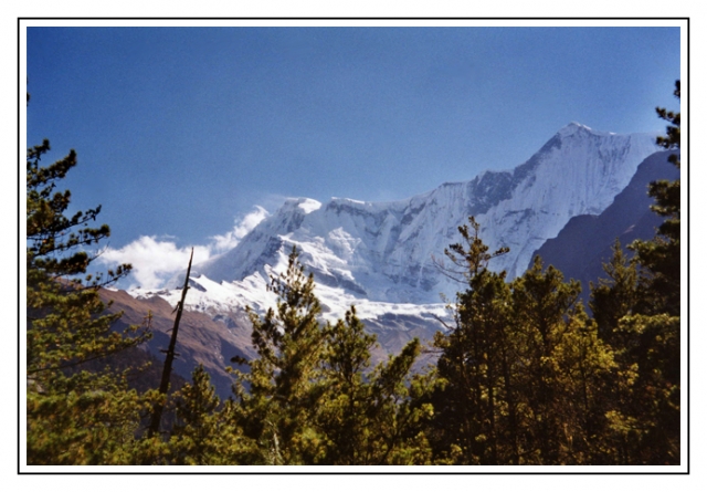 nepal 208 site.jpg